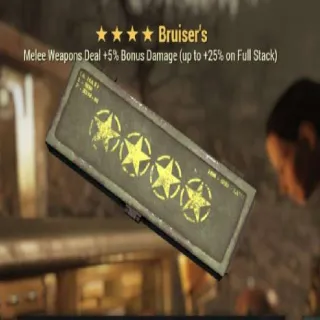 5x Bruisers Mod.⭐⭐⭐⭐