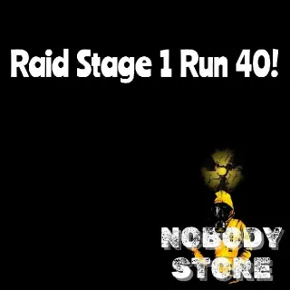 Raid Stage 1 Run 40!