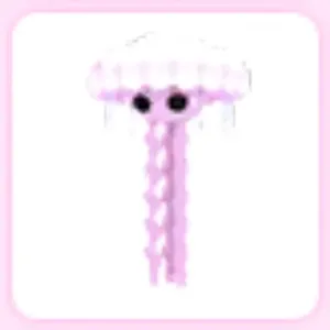Jellyfish R