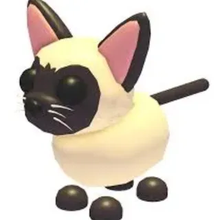 Siamese cat