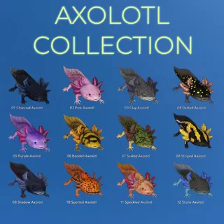 AXOLOTL COLLECTION (ALL 12)