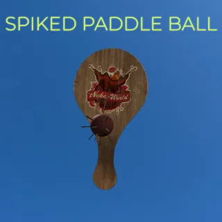 SPIKED PADDLE BALL