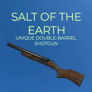 SALT OF THE EARTH