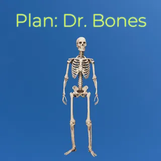 Plan: Dr. Bones