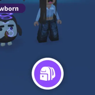 No pot owl