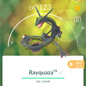 Shiny Rayquaza