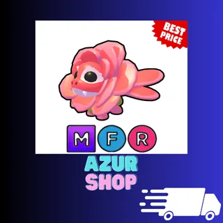MFR Rose Dragon