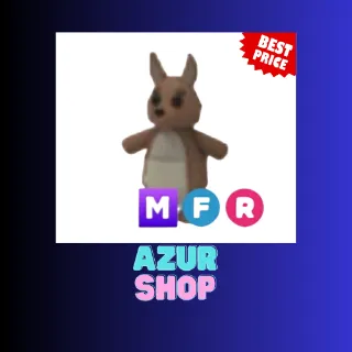 MFR KANGAROO
