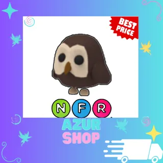 NFR Owl