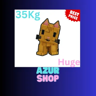 HUGE ORANGE TABBY 35KG Grow a Garden