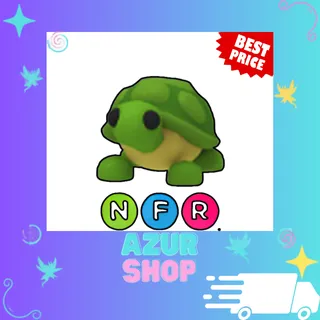 NFR Turtle