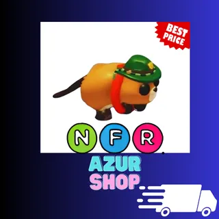 NFR Ranger Beaver