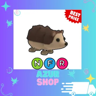 NFR Hedgehog