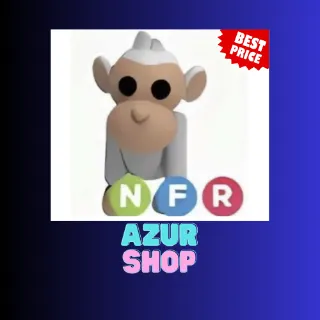 NFR ALBINO MONKEY
