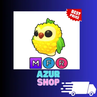 MFR Pineapple Owl