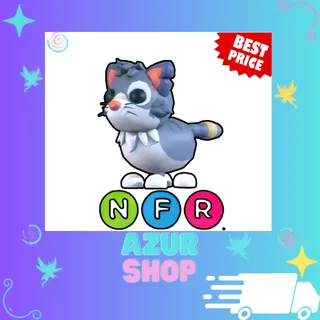 NFR Alley Cat