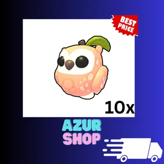 10x Peach Owl