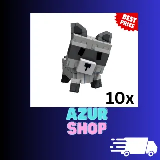 10x Raccoon Grow a Garden