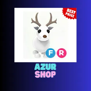 FR ARCTIC REINDEER