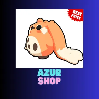 CABBIT