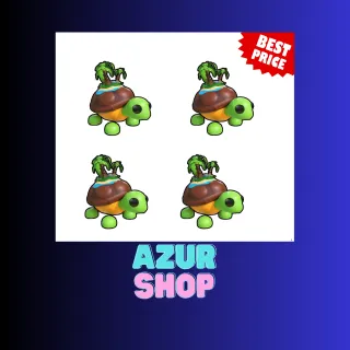 4x Tortuga de la Isla