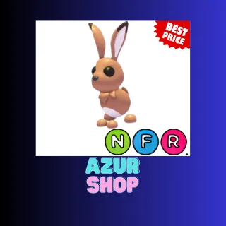 NFR HARE