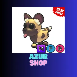 MFR AFRICAN WILD DOG