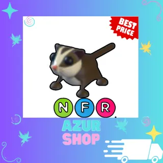 NFR Sugar Glider