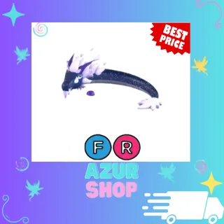 FR Midnight Dragon