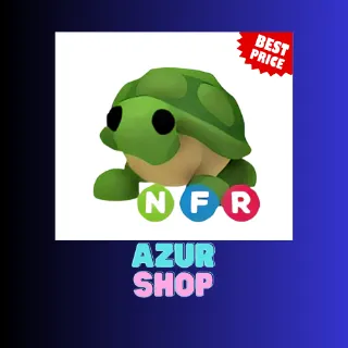 NFR TURTLE
