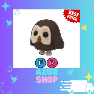 FR Owl