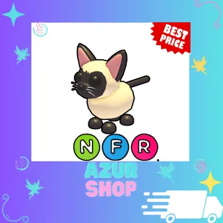 NFR Siamese Cat