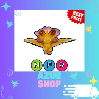 NFR Solaris 