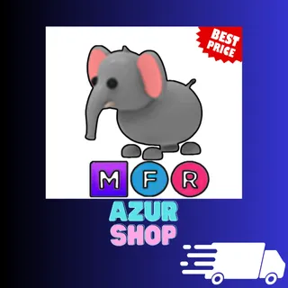 MFR Elephant