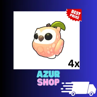 4x Peach Owl