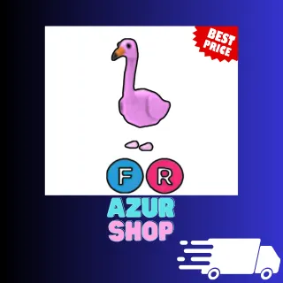 FR FLAMINGO