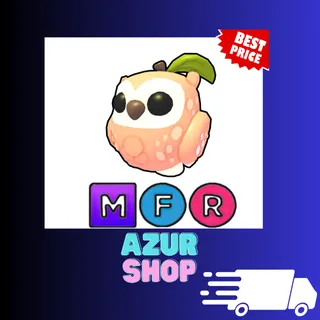 MFR Peach Owl
