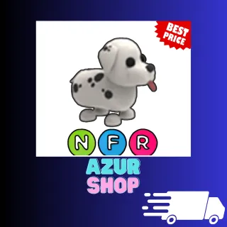 NFR Dalmatian