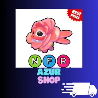 NFR Rose Dragon