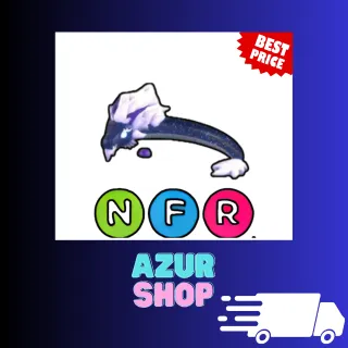 NFR Midnight Dragon