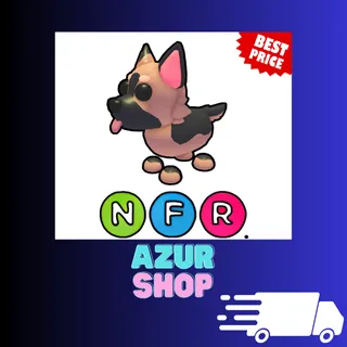 NFR German Shepherd