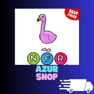 NFR FLAMINGO