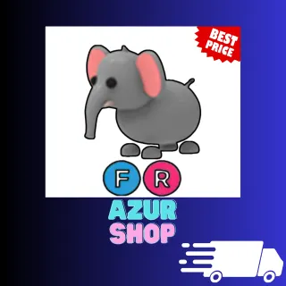 FR Elephant
