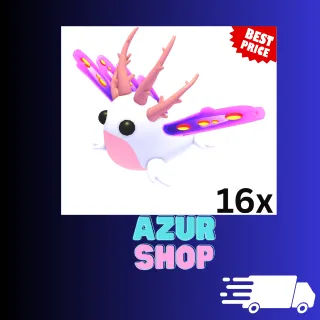 16x Sea Slug