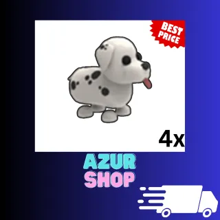 4x Dalmatian