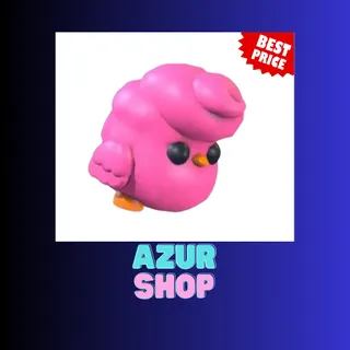 CANDY FLOSS CHICK