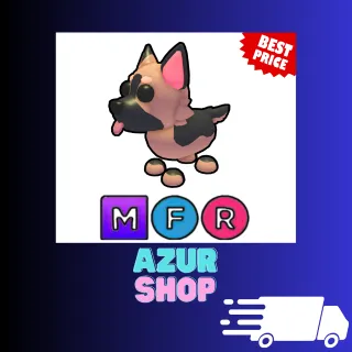 MFR German Shepherd