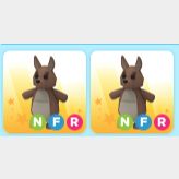 Pet | 2x NFR Kangaroo - Game Items - Gameflip