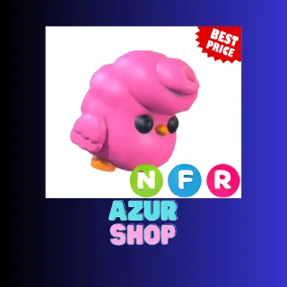 NFR CANDY FLOSS CHICK