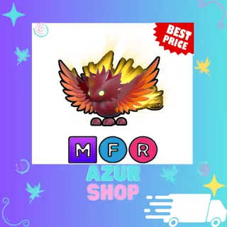 MFR Solaris